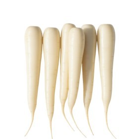  Holland - White Carrots kg 
