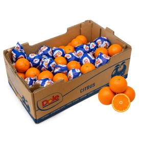  Africa - Clementine 10Kg Box 