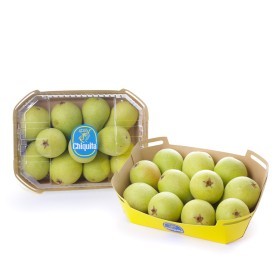  شيكيتا | اجاص باكيت - اسباني 