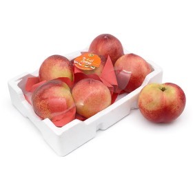  Lebanon - Nectarian 1 kg PKT 