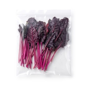  Local  - Swiss Chard 100 g PKT 