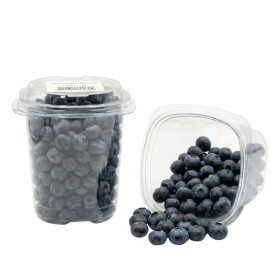  Chile l Blueberry 500g PKT 