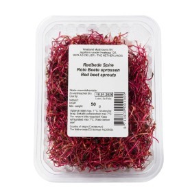  Holland - Beetroot Sprout PKT 