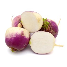  Turnip KG - USA 