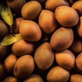  Thailand - Sapodilla 500g 