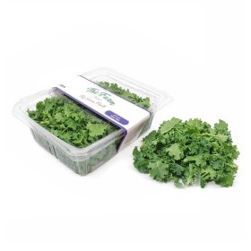  Local - Baby Kale Lettuce 100 g PKT 