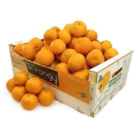  Morocco - Mandarin 9 Kg Box 