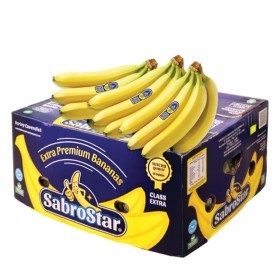 SabroStar | Banana 19 Kg Box | Ecuador 