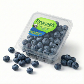  درسكول | بلوبيري (اورجانيك) عضوي 170 جم 