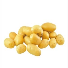  Potato Baby Kg - France 