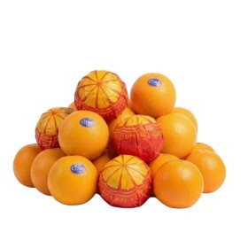  برتقال فالنسيا كيلو - مصري 