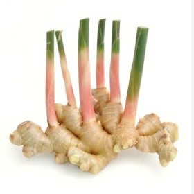  Thailand - Young Ginger 250g PKT 