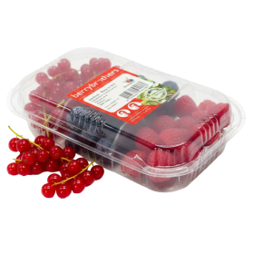  Holland - Berry Mix 150gm PKT 