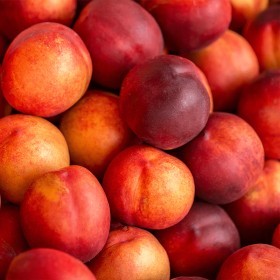  Nectarine KG - South Africa 