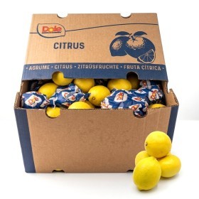  ليمون 15 كيلو كرتون - افريقي 