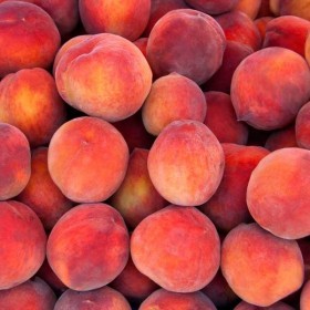  Tunisian Peach Kg 
