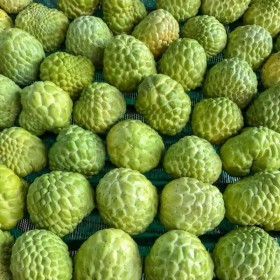  CUSTARD APPLE THAILAND 