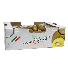  Kiwi Gold 6Kg BOX -ITALY 