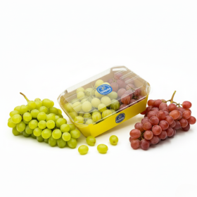  تشيكيتا | عنب مشكل كبير 