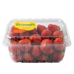  Driscoll l Strawberry 400g PKT l Morocco 
