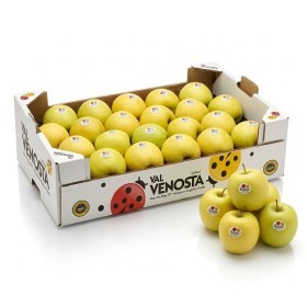 Italy - Golden Apple 4 Kg Box 