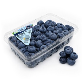 Peru - Blueberry 510 g PKT 