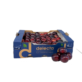  South Africa -Black Plums 5 Kg Box 