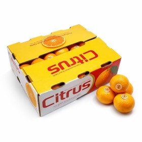  China -Mandarin 5 KG Box 