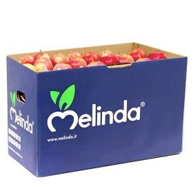  Apple Royal Gala 18kg Box - Italy 