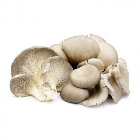  Local - Oyster Mushroom 200 g PKT 