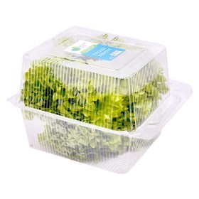  خس رأس كامل ٢٠٠ جم باكيت- محلي 