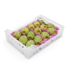  Lebanon -  Prickly Cactus 1.900 gm PKT 