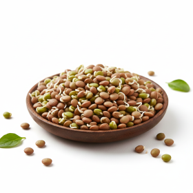  Sprouted Lentils 250g PKT 