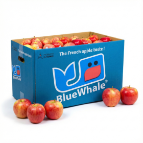  Apples Royal Gala 18kg Box - France 