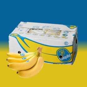  CHIQUITA banana 13.5kg box 