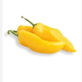  Turkish- Yellow Capsicum Kg 