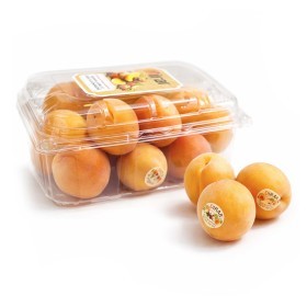  TUNISIA - Apricot 600gm  PKT 