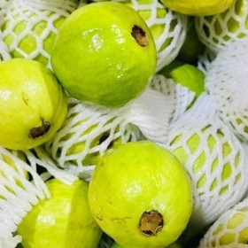  Guava PKT - Thailand 