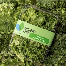  خس كيل بيبي 125 جم باكيت - محلي 