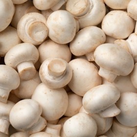  Holland white Mushroom 250gm PKT 