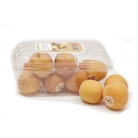  APRICOT TUNISIA 600GM PKT 