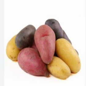  France - Mixed  Potatoes Kg 