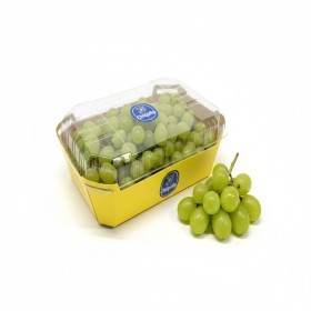  CHIQUITA | South Africa White grapes PKT 