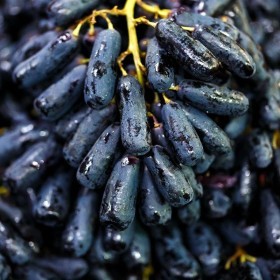  Black Moon Drop Grapes KG - USA 