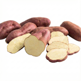  Oriental Murasaki Potato Kg - USA 