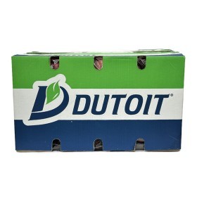  Red Apple 18 Kg Box - South Africa 