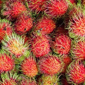  Rambutan 500g PKT - Thailand 