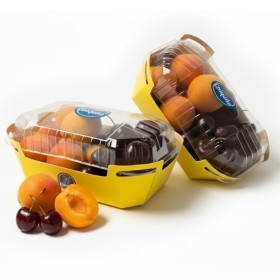  تشيكيتا | مشمش و كزر مشكل باكت550جم 