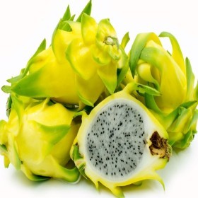  Yellow Dragon Fruit PKT - Thailand 