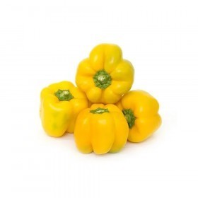  Spain - Yellow Baby Capsicum  Kg 